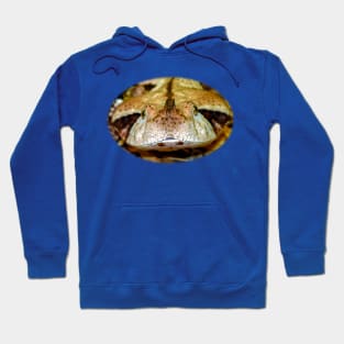 Gaboon Viper Hoodie